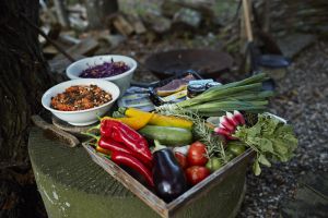 Tray of fresh vegetables and salads , ready to BBQ